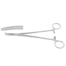 Faure Peritoneum Forcep Curved - 1 x 2 Teeth Stainless Steel, 21 cm - 8 1/4"